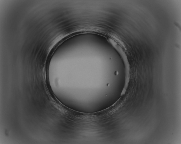 X0000092310936200710051236