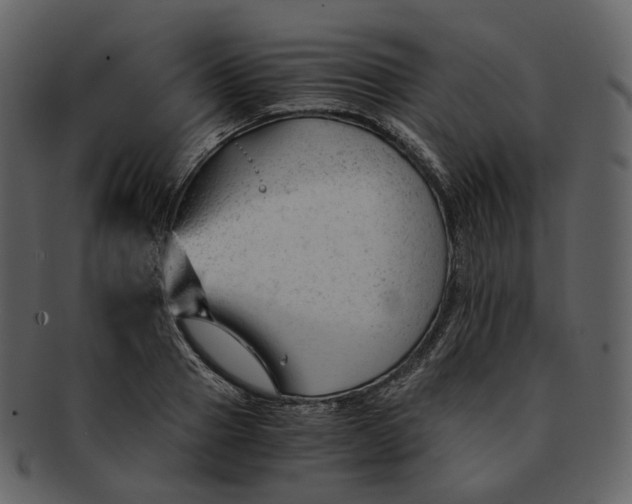 X0000092310937200710051236
