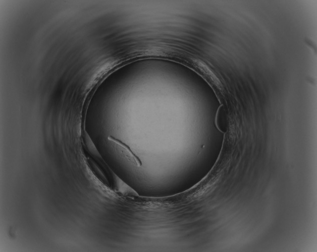X0000092310938200710051236