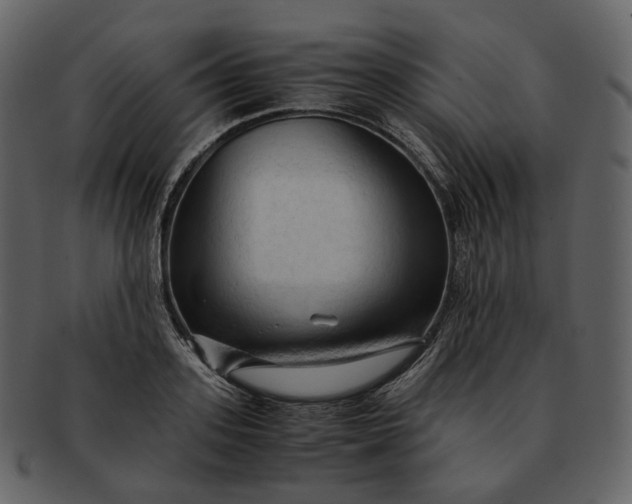 X0000092310939200710051236