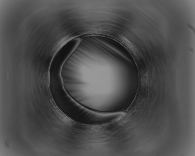 X0000092310940200710051236