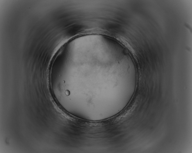 X0000092310941200710051236