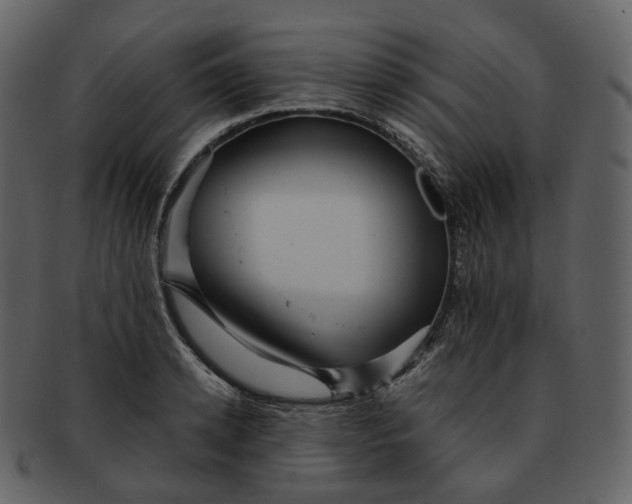 X0000092310942200710051236