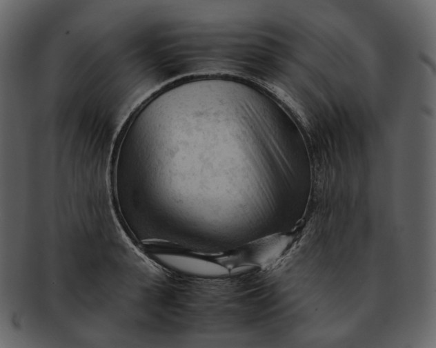 X0000092310943200710051236