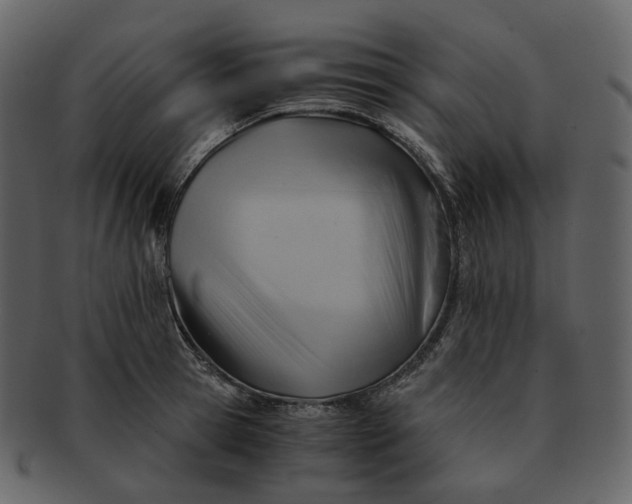 X0000092310945200710051236