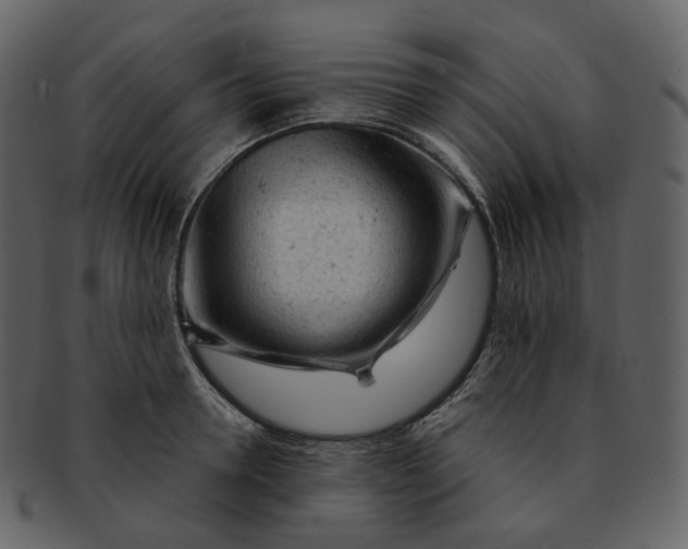 X0000092310946200710051236