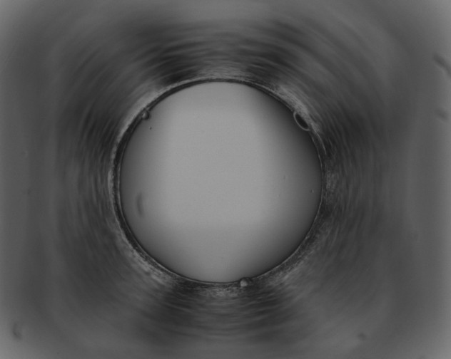 X0000092310947200710051236