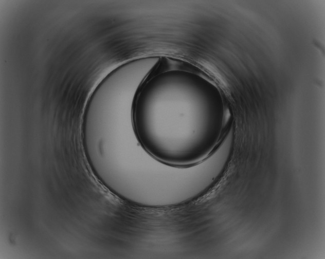 X0000092310948200710051236