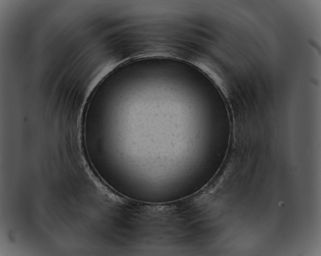 X0000092310949200710051236
