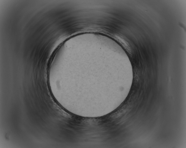 X0000092310950200710051236