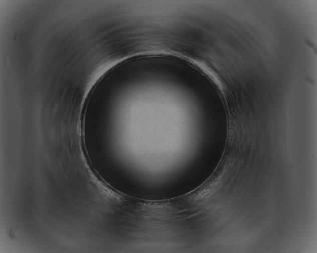 X0000092310951200710051236