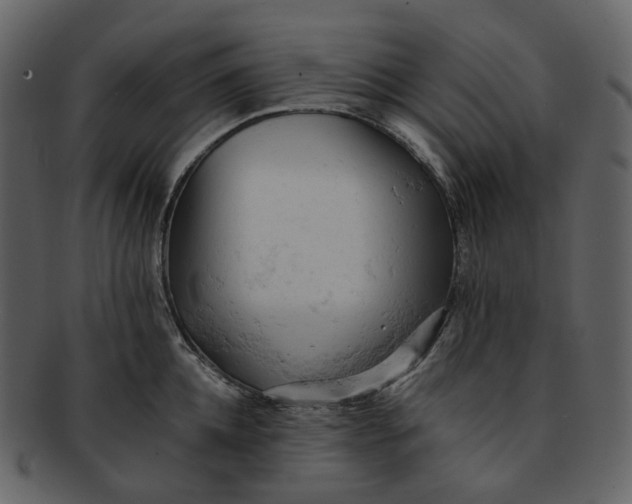 X0000092310952200710051236