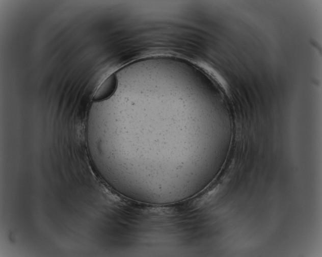 X0000092310953200710051236
