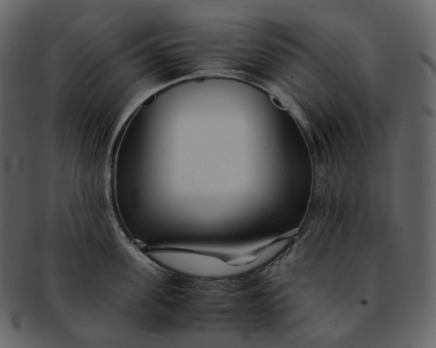 X0000092310955200710051236