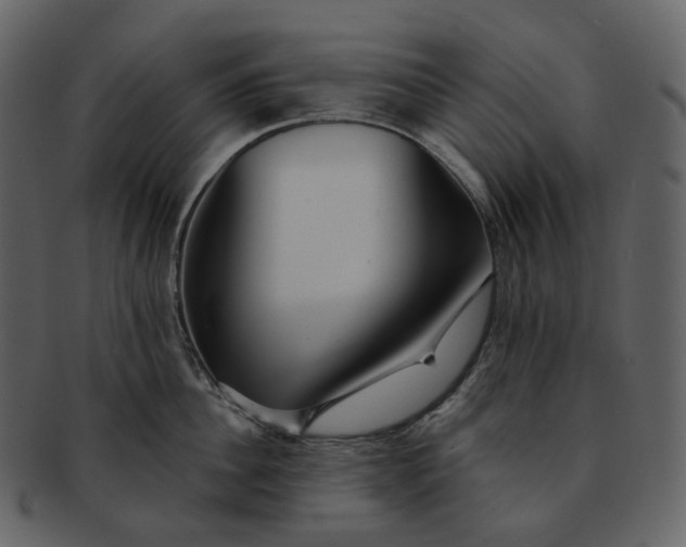 X0000092310956200710051236