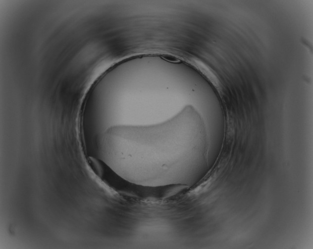 X0000092310958200710051236