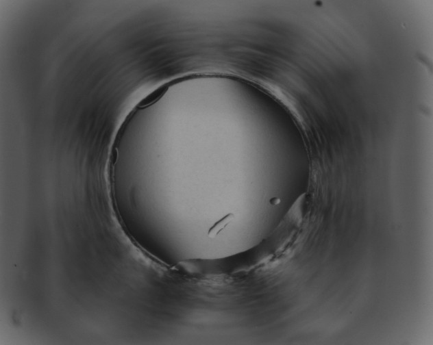 X0000092310959200710051236