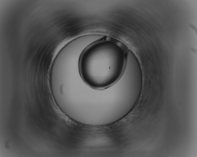 X0000092310960200710051236