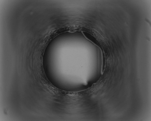 X0000092310961200710051235