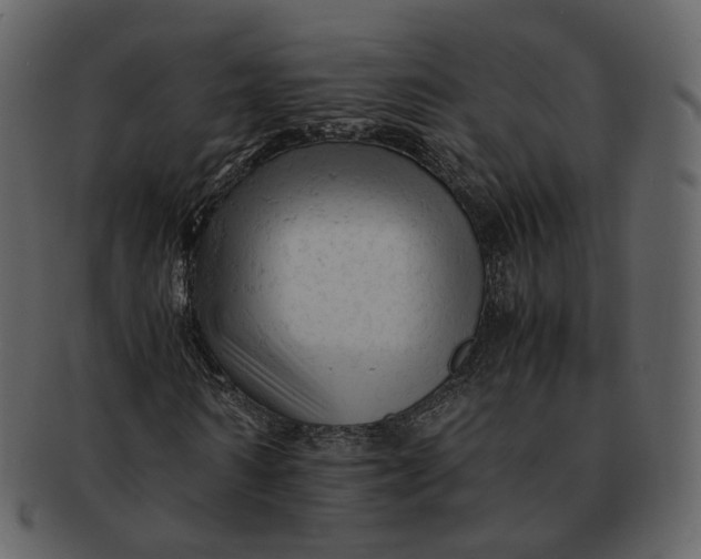 X0000092310962200710051235