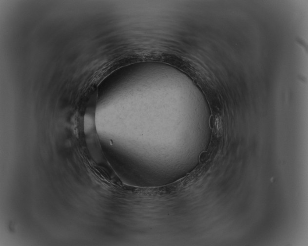 X0000092310963200710051235