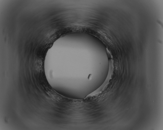 X0000092310964200710051235