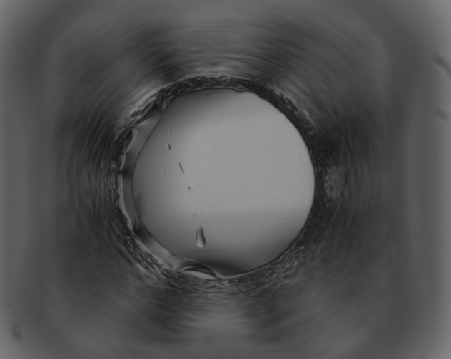 X0000092310968200710051235