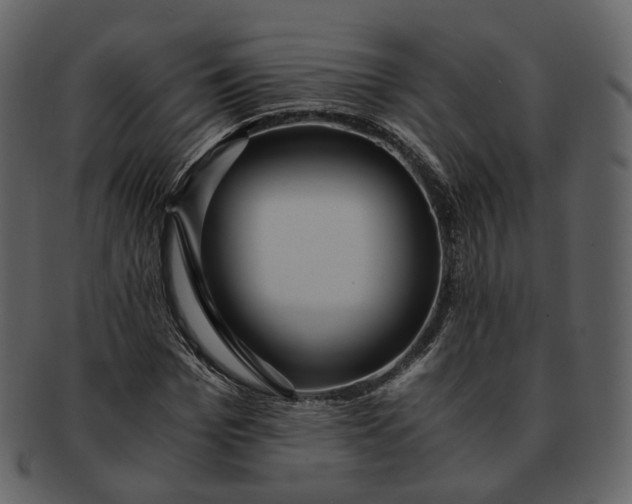 X0000092310969200710051235