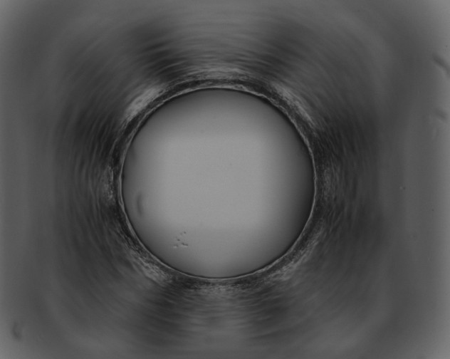X0000092310970200710051235