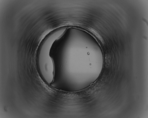 X0000092310972200710051235