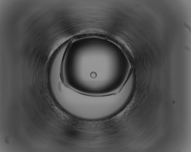 X0000092310973200710051235