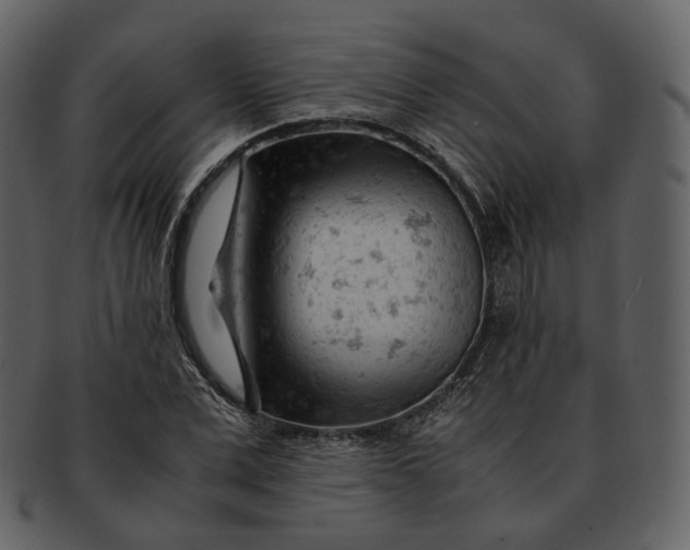 X0000092310975200710051235