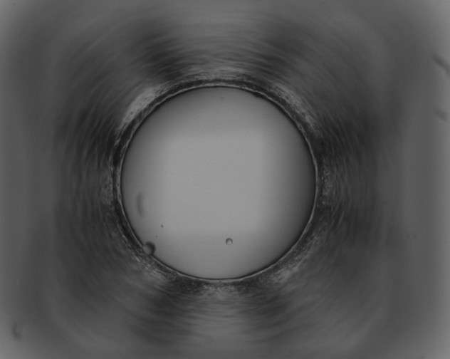 X0000092310978200710051235