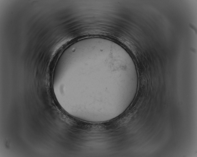 X0000092310979200710051235