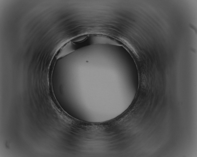 X0000092310980200710051235