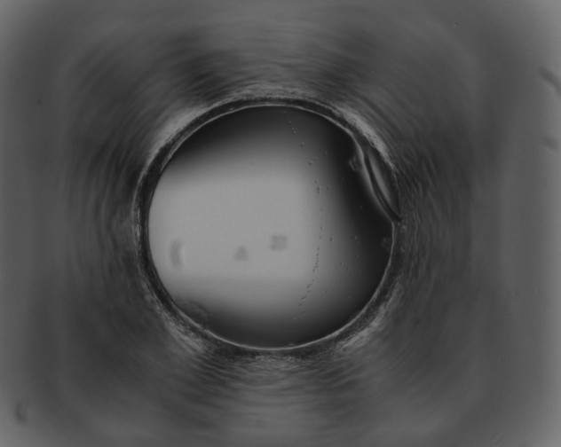 X0000092310981200710051235