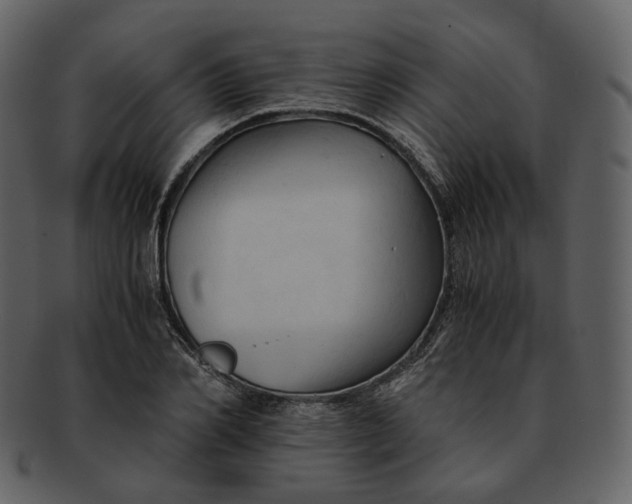 X0000092310982200710051235