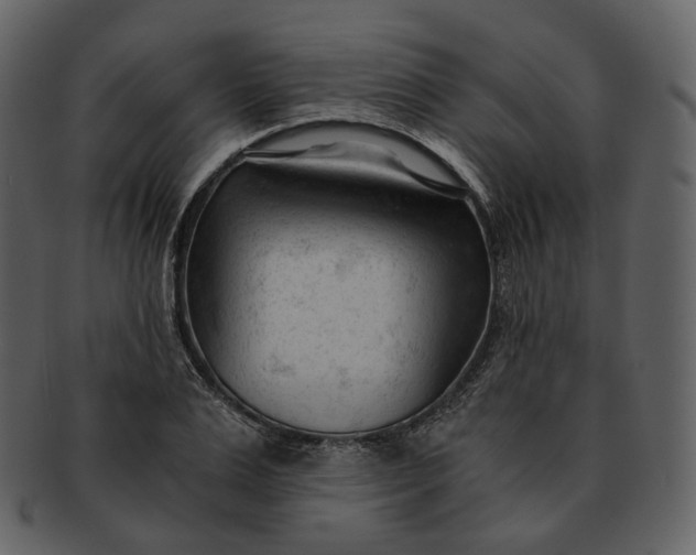 X0000092310983200710051235