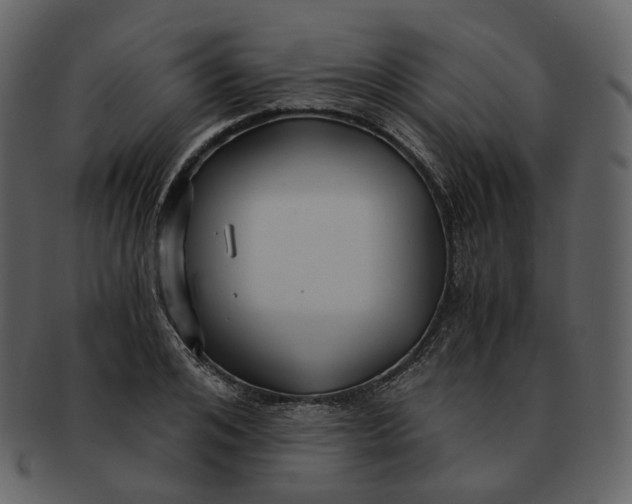 X0000092310984200710051235