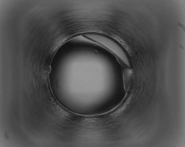 X0000092310985200710051235