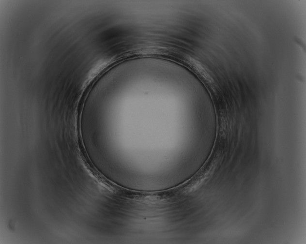 X0000092310986200710051235