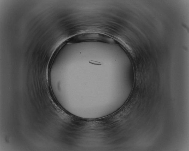 X0000092310988200710051235