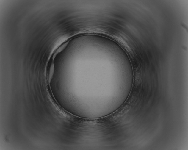 X0000092310990200710051235