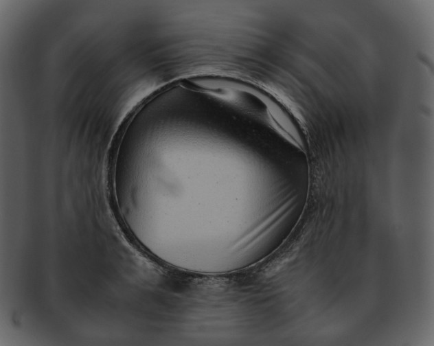 X0000092310991200710051235