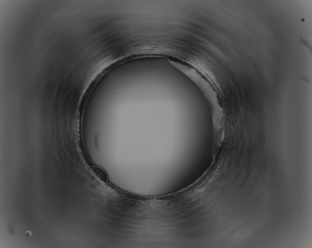 X0000092310992200710051235