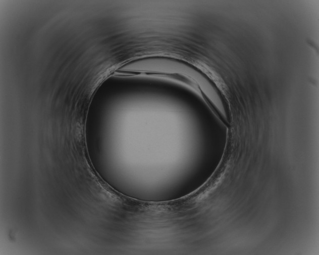 X0000092310993200710051235