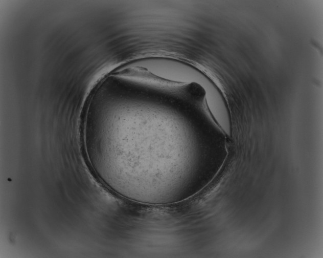 X0000092310995200710051235
