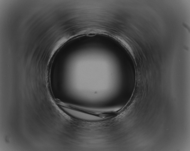 X0000092310997200710051235