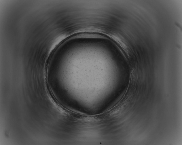 X0000092310998200710051235