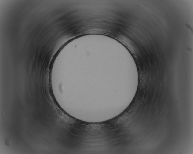X0000092311000200710051235